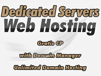 Moderately priced dedicated server services